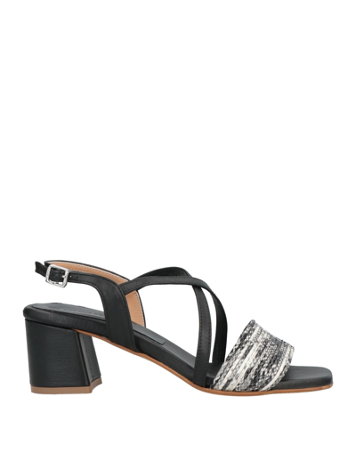 Loretta Pettinari Sandals In Black