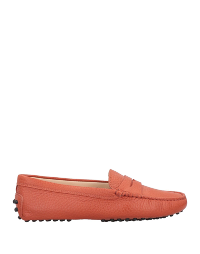 Tod's Loafers In Rust