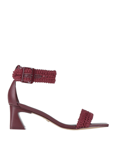 Arezzo Sandals In Red