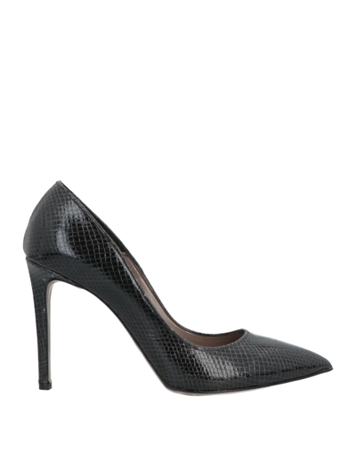 Divine Follie Pumps In Black