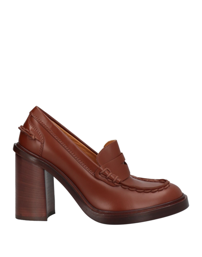 Tod's Loafers In Brown