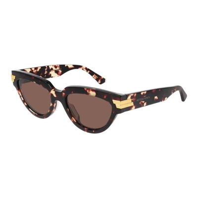 Bottega Veneta Sunglasses In Marrone/marrone