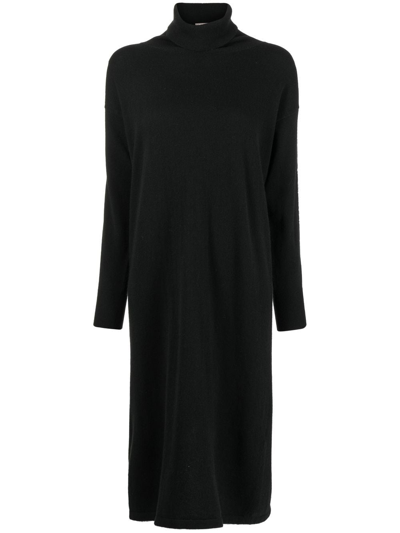 N•peal Roll-neck Organic Cashmere Dress In Black