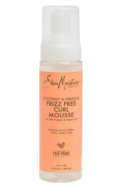 Shea Moisture Coconut & Hibiscus Frizz Free Curl Mousse