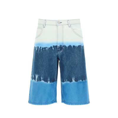 Alberta Ferretti Cotton Shorts In Blue