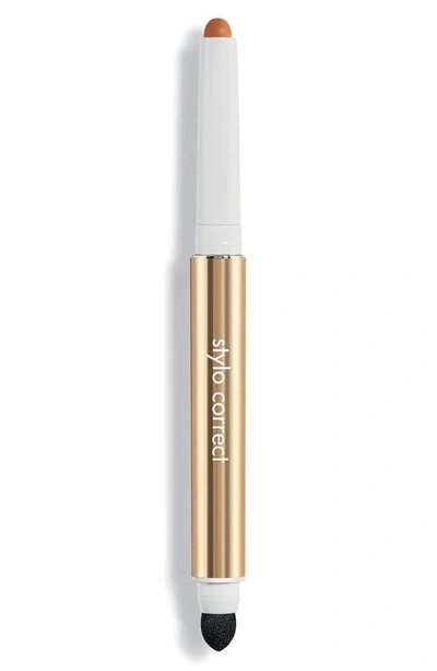 Sisley Paris Stylo Correct Concealer Pen In Dark 5