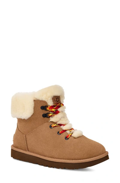 Ugg Shearling Lace-cord Suede Ankle Boots In Brown
