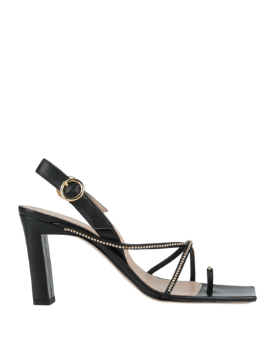 Wandler Toe Strap Sandals In Black