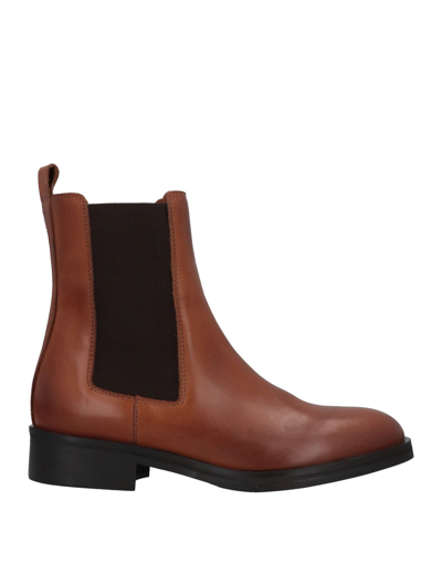 Baldinini Ankle Boots In Brown