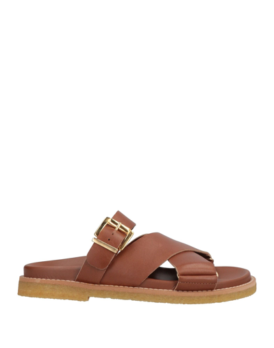 Clarks Originals Sandals In Brown