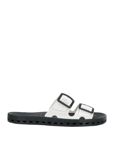 Sensi Sandals In White