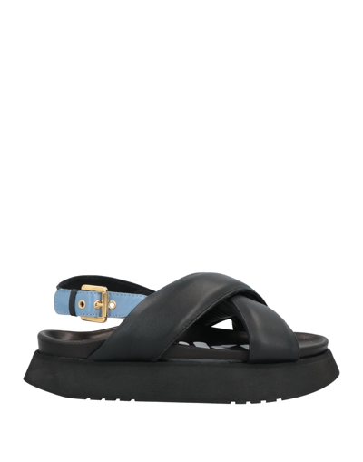 Inuikii Sandals In Black