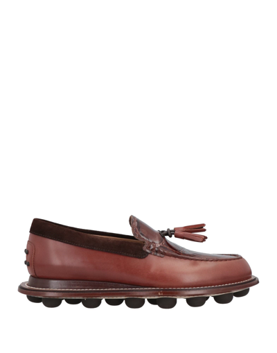 Tod's Loafers In Brown