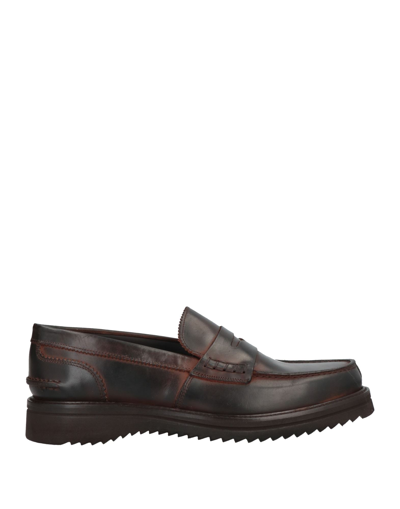 Baldinini Loafers In Brown