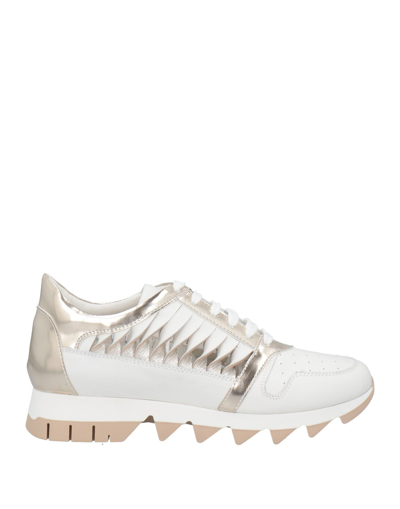 Bruglia Sneakers In Grey