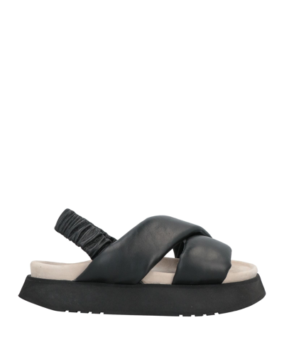 Inuikii Sandals In Black