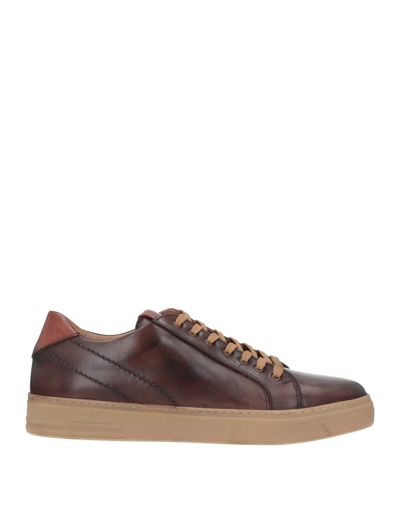 Baldinini Sneakers In Brown