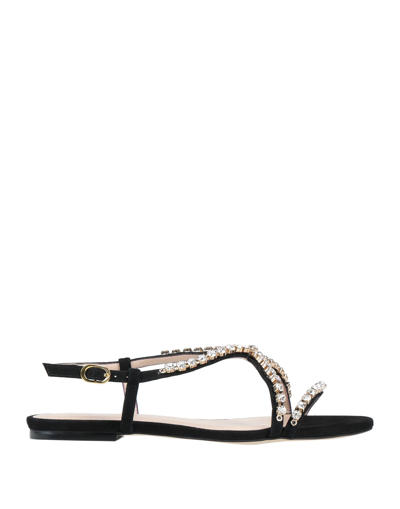 Stuart Weitzman Sandals In Black