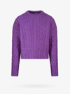 Ami Alexandre Mattiussi Sweater In Purple