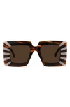 Loewe Oversized Square-frame Tortoiseshell Acetate Sunglasses In Grey