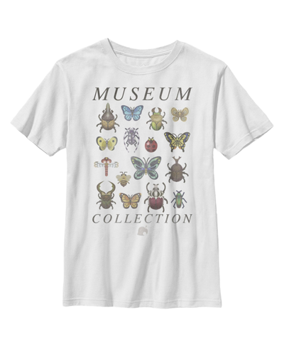 Nintendo Kids' Boy's  Museum Bug Collection Child T-shirt In White