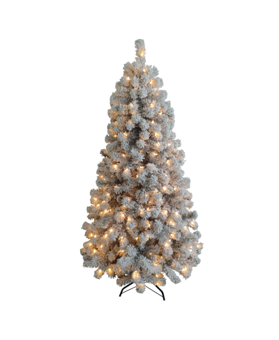 National Tree Company 6' Acacia Flocked Pre-lit Christmas Tree With 300 Clear Incandescent Lights In Green