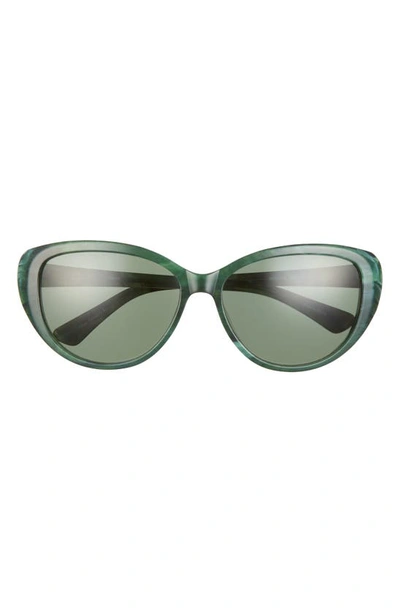 Isaac Mizrahi New York 56mm Fox Sunglasses In Green