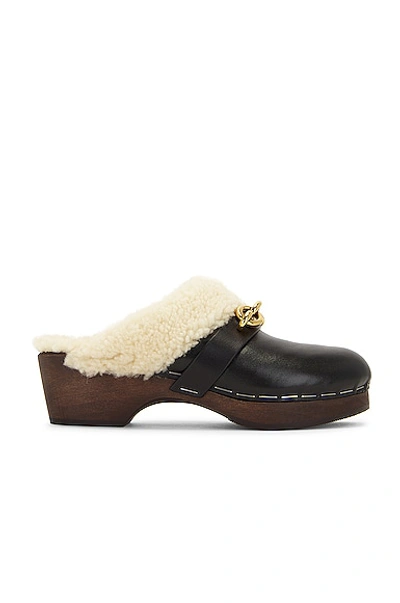 Saint Laurent Toff Clogs In Black