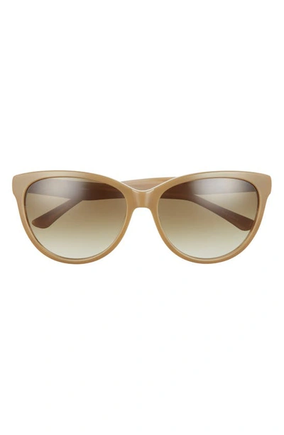 Isaac Mizrahi New York 58mm Square Sunglasses In Khaki