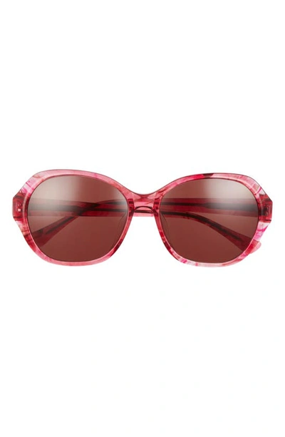 Isaac Mizrahi New York 56mm Round Sunglasses In Wine