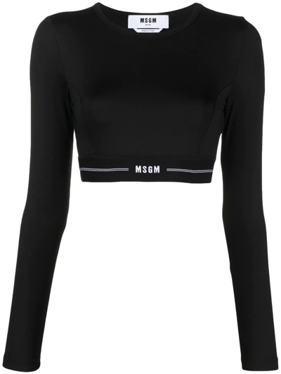 Msgm Logo-underband Cropped Top In 黑色