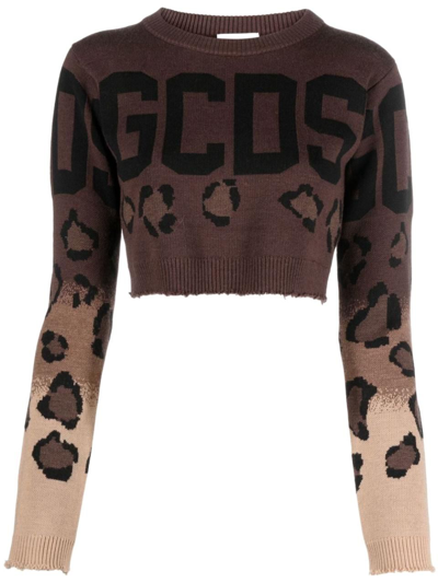Gcds Leopard Wool-blend Cropped Sweater In Brown