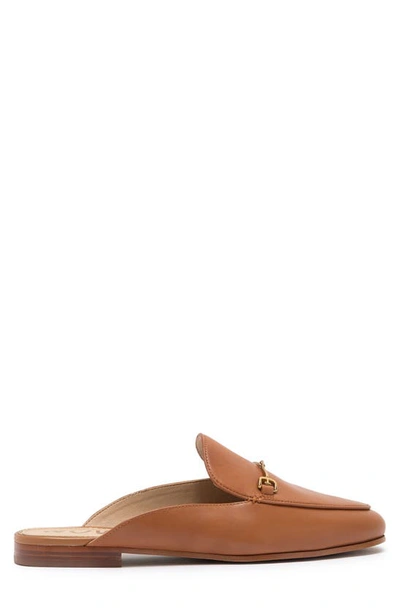 Sam Edelman Women's Linnie Tailored Mules Women's Shoes In Brown