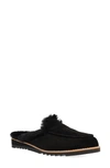 Eileen Fisher Frost Genuine Shearling Lined Clog In Black