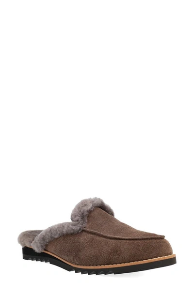 Eileen Fisher Frost Genuine Shearling Lined Clog In Rye