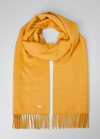 Loro Piana Cashmere Sciarpa Grande Fringe-trim Scarf In Yellow Multi