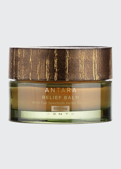 Zents 1.75 Oz. Antara Relief Balm With 800 Mg Cbd