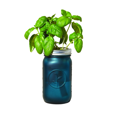 Modern Sprout Garden Jar In Teal