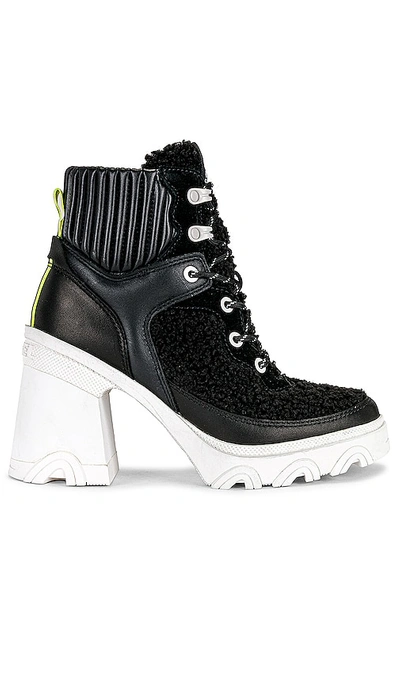 Sorel Brex™ Leather & Faux Shearling Block Heel Lace-up Bootie In Black & Sea Salt