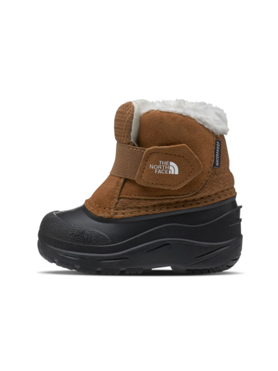 The North Face Babies' Kids' Alpenglow Ii Waterproof Insulated Boot In Toasted Brown/brown