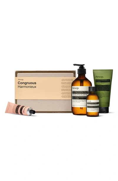 Aesop The Advocate Elaborate Body Kit In N,a