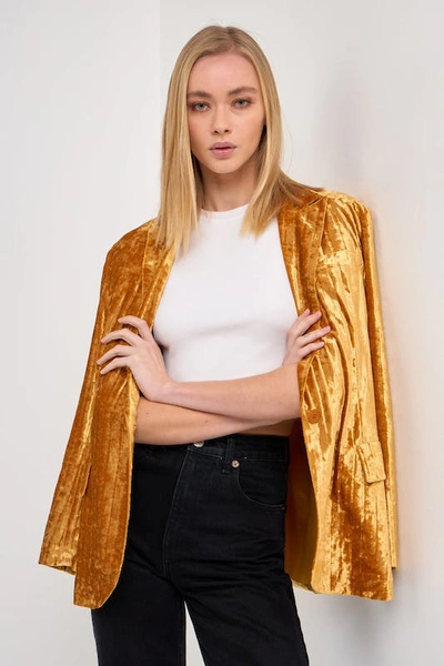 Endless Rose Oversized Velvet Blazer In Gold