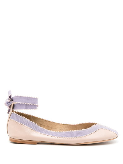 Sarah Chofakian Daisy Colour-block Ballerina Shoes In Neutrals