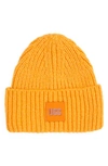 Ugg Chunky Ribbed Beanie In Orange Sherbet