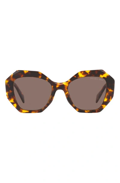 Prada 53mm Polarized Irregular Sunglasses In Brown