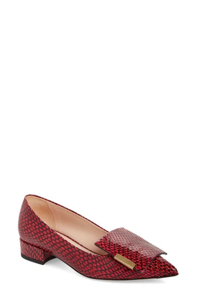 Bells & Becks Allegra Pointed Toe Flat In Deep Red