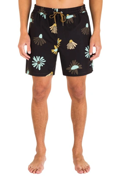 Hurley Cannonball Volley Swim Trunks In Brown