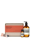 AESOP INDUSTRIOUS HAND CARE TRIO