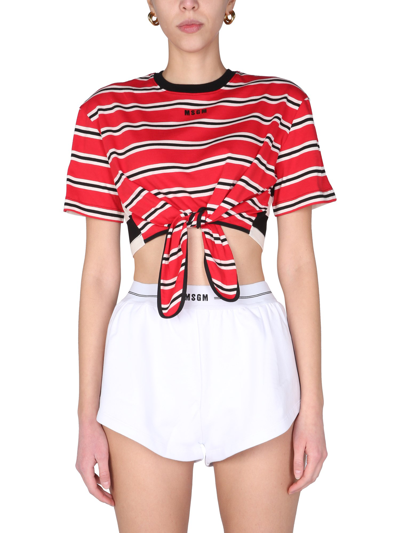 Msgm Striped Cropped T-shirt With Logo In Red