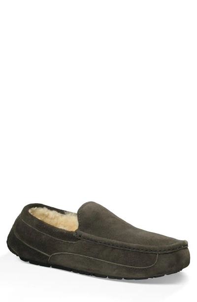 Ugg Ascot Slipper In Charcoal Suede